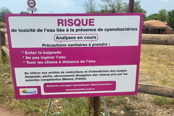 Les analyses du département révèlent un niveau de toxicité inquiétant dans le lac du Salagou, en août 2024.