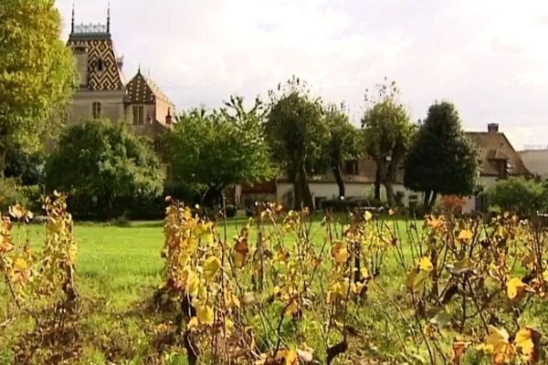 A Aloxe-Corton, on conjugue patrimoine et vignoble bourguignons