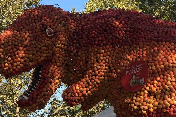 Ce dinosaure va finir en tarte ou en compote