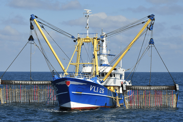 Bateau de pêche électrique