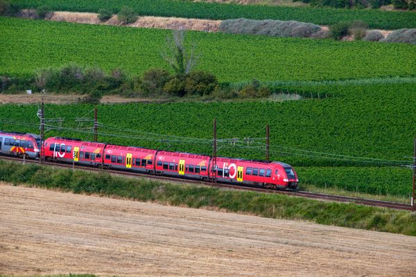 Une grève des agents SNCF perturbe fortement la circulation des TER ce lundi 25 novembre. Le mouvement pourrait être reconduit.