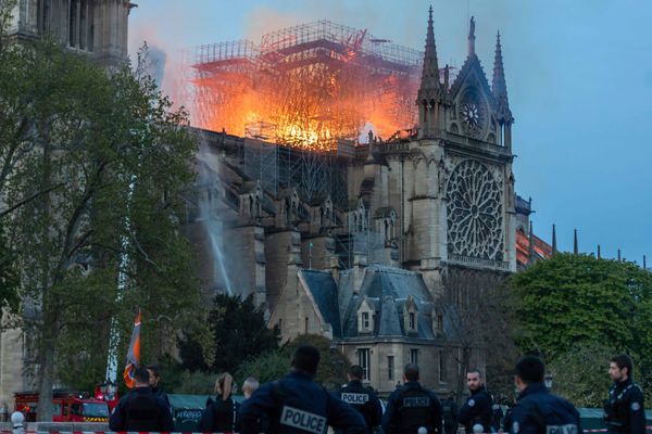 Le tribunal administratif de Nîmes donne tort à la ville d'Avignon.