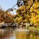 C'est l'automne aujourd'hui, la saison où la nature nous éblouit par ses couleurs