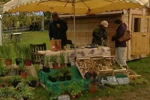 La 10e fête de l'automne se tient à Saint-Brisson dans la Nièvre, les 3 et 4 octobre 2015.