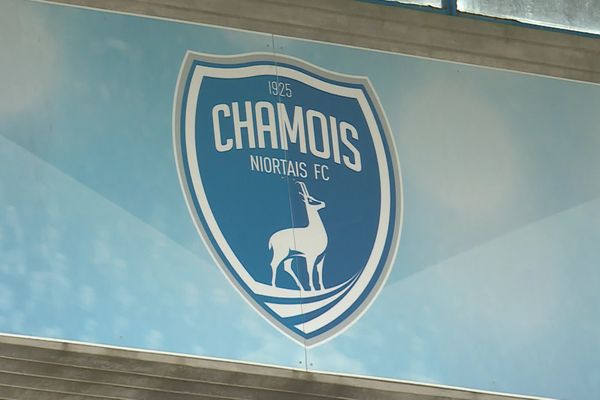 Les Chamois niortais évolueront dans un des championnats régionaux la saison prochaine.