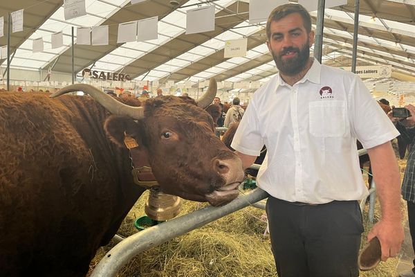 Géraud et Tressy, une de ses vaches salers.