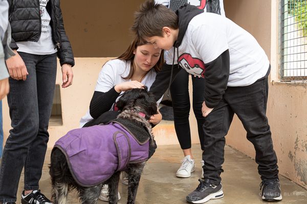 Mathilde et Nicolas, fondateurs de l’association pour les animaux Darwin Forever.