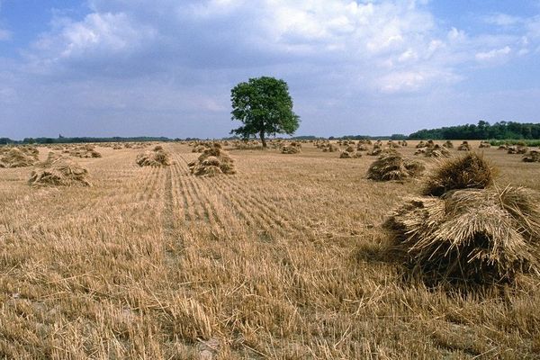 Des terres agricoles dans la Vallée de la Loire.