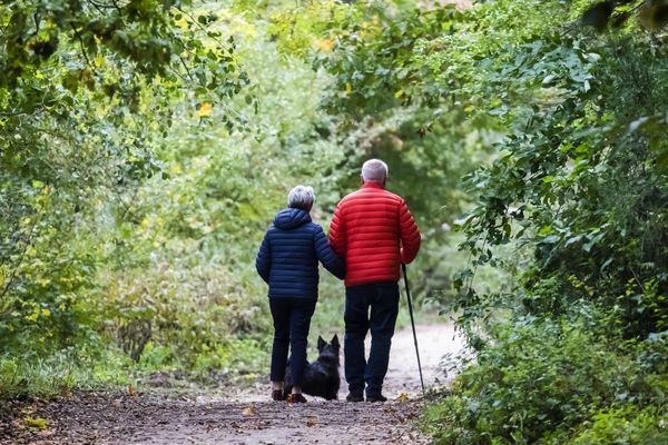 Coronavirus : "j'ai peur de contaminer mes grands-parents"