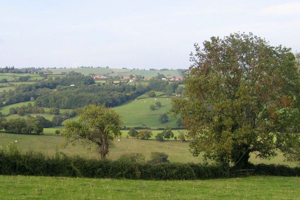 Un paysage du Brionnais dans le sud du département de Saône-et-Loire