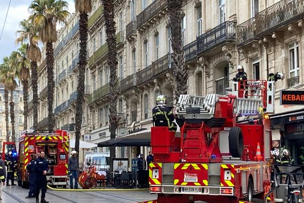 De nombreux véhicules de secours sont sur place suite au déclenchement de cet incendie.