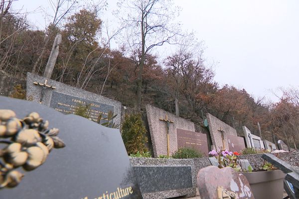 Le cimetière de Lorette attire les chèvres qui vivent sur un terrain voisin. 