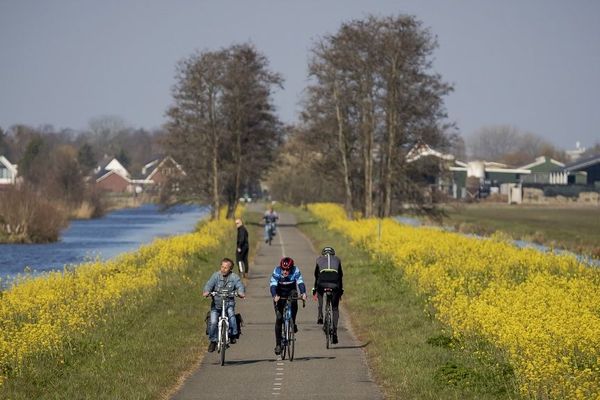 Des cyclistes, début avril, à Reeuwijk-Village, aux Pays-Bas.