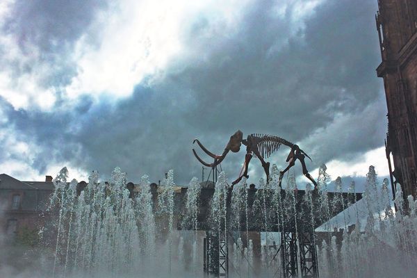 L'installation du mammouth ce lundi, place du Château à Strasbourg.