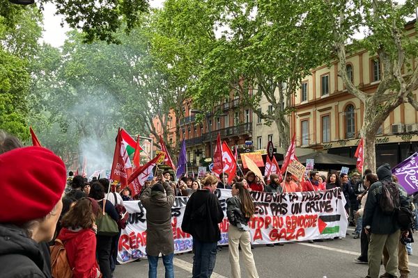 La manifestation toulousaine a rassemblé 3000 personnes selon la police, 8000 selon les syndicats.