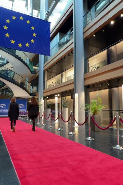 Les invités prestigieux, comme les présidents, les premiers ministres, les papes ou des acteurs célèbres arrivent sur le tapis rouge par l'entrée protocolaire, interdite au public.