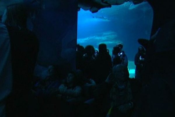 L'aquarium de Paris, au Trocadéro, dans le 16ème arrondissement de la capitale.