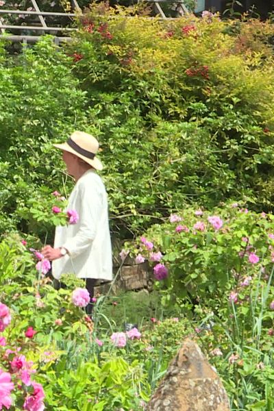 Le jardin de l'abbaye de Valsaintes est ouvert aux amoureux des roses jusqu'au 2 juin.