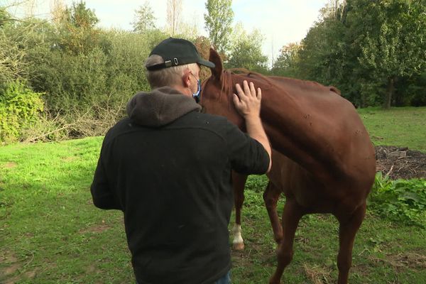 Dans l'Orne, un amoureux des chevaux a créé un groupe facebook pour susciter la solidarité des éleveurs et non pas la psychose.