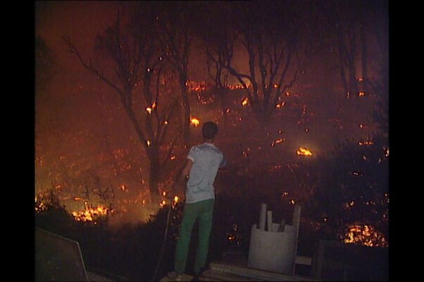 Le 31 juillet 1989, un incendie ravage 10.000 hectares de végétation en Corse et tue quatre personnes.