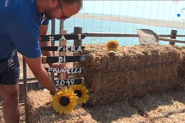 À Calzarellu, en Plaine orientale, se déroule depuis le samedi 29 juin la première foire organisée par la mairie de Prunelli di Fium'orbu. 