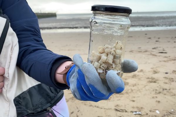 Les bénévoles de l'association Surfrider se mobilisent en Loire-Atlantique pour ramasser les milliers de petits cylindres en plastique découverts sur certaines plages, mardi 26 décembre, en particulier autour de Saint-Nazaire, mais aussi à Pornic et Saint-Brévin-les-Pins.