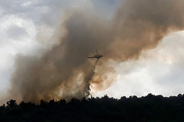 Trois hélicoptères bombardiers d'eau et 60 sapeurs-pompiers ont été envoyés à Roquebrune. 