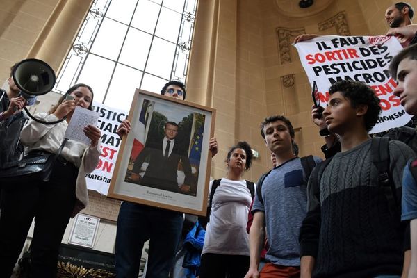 Le portrait d’Emmanuel Macron « réquisitionné » par des militants écologistes, dans la mairie du 19e arrondissement de Paris.