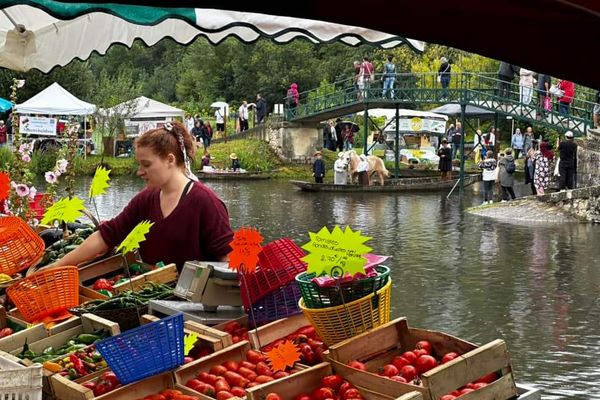 Marché sur l'eau à Vanneau-Irleau, Deux-Sèvres