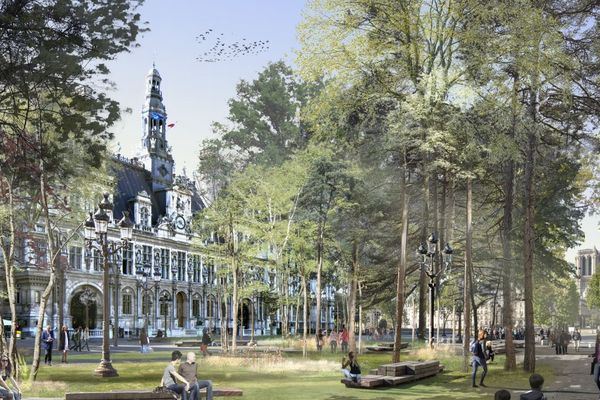 Le parvis de l'Hôtel de Ville fait partie des quatre « lieux emblématiques » concernés par le projet de « forêts urbaines ». 