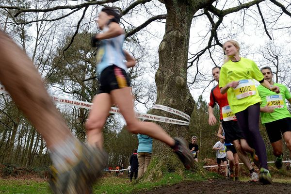 Cross Ouest-France au Mans :  près de 15 000 inscrits pour l'édition 2015