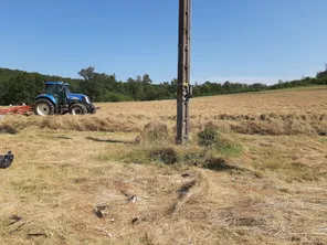 Ce lundi 12 août, des restes de la dépouille d’une Cigogne noire ont été retrouvés au pied d’un pylône électrique sur la commune de Recey-sur-Ource (Haute-Marne)