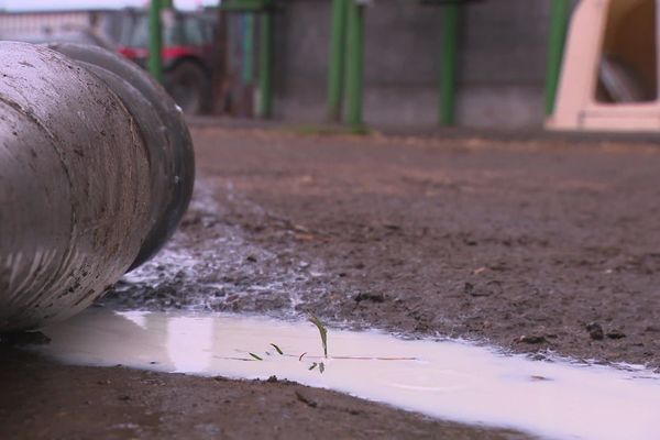 Dans l'Aisne, l'Oise, le Nord et la Somme, 312 producteurs de lait seront bientôt indemnisés suite aux restrictions sanitaires imposées après l'incendie de Lubrizol à Rouen.