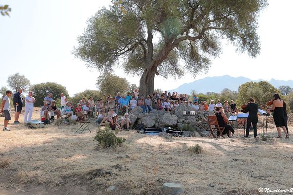 Les concerts en plein air, la solution pour continuer d'exister pendant l'épidémie (U Mulinu, 2017)