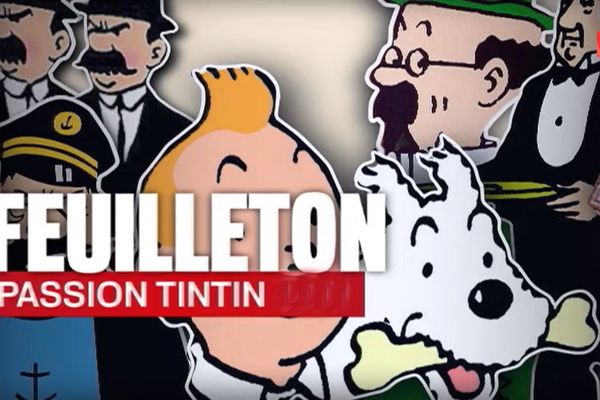 Passion Tintin, 5 reportages sur les passionnés du reporter belge.