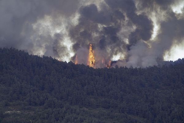 L'incendie à Montguers dans la Drôme a ravagé 200 hectares