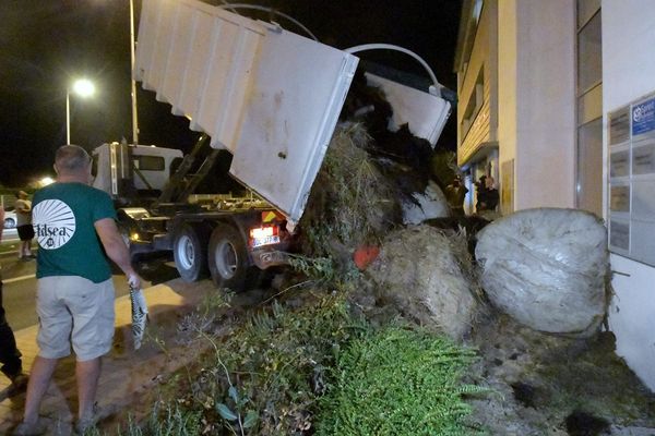 Les agriculteurs de la FDSEA 31 ont déversé des tas de fumiers devant la permanence de la députée LREM Monique Iborra à Tournefeuille.