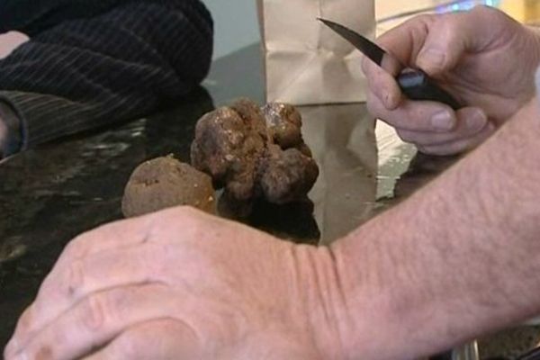 Pour apprécier la truffe noire : évitez la cuisson et dégustez-la nature