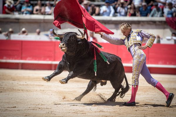 Le jeune Lalo de Maria avait remporté la novillade de la Cape d'or, à la féria de Pentecôte , à Nimes, le 28 mai 2023.