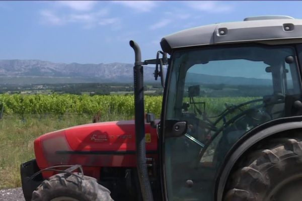 Avec la présence du Mildiou, le traitement des vignes s'intensifie