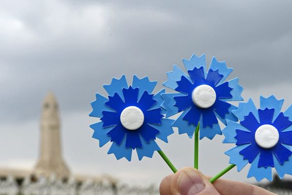 Quelques mois après la fin des célébrations du centenaire de la Grande Guerre, l'association du Bleuet de France a toujours besoins de dons.