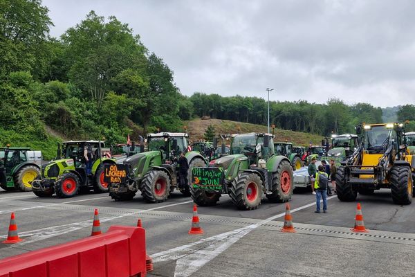 Les agriculteurs du Pays basque ont convergé par l'A63 jusqu'au péage frontalier de Biriatou, avant d'être rejoints par leurs confrères espagnols