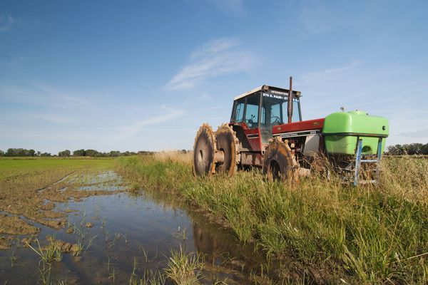 Une exploitation de riz, en Camargue (Bouches-du-Rhône).