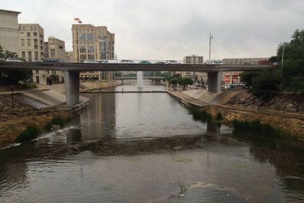 Le Lez à Montpellier le 14 septembre vers 8 h 30