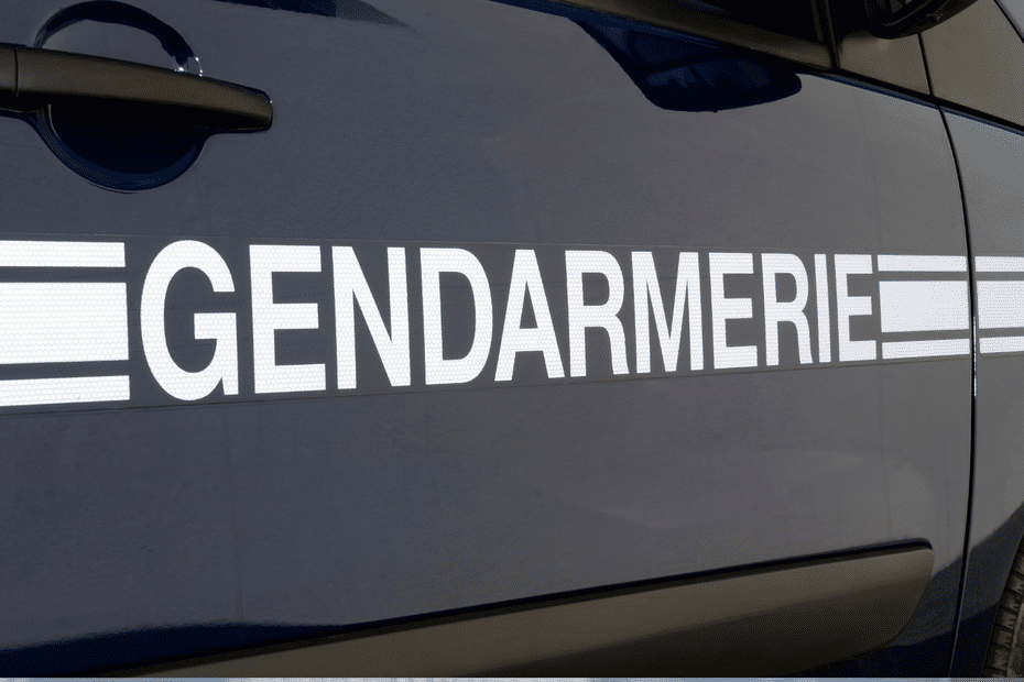 Gard : 5 nouvelles voitures pour la police et 21 pour la gendarmerie