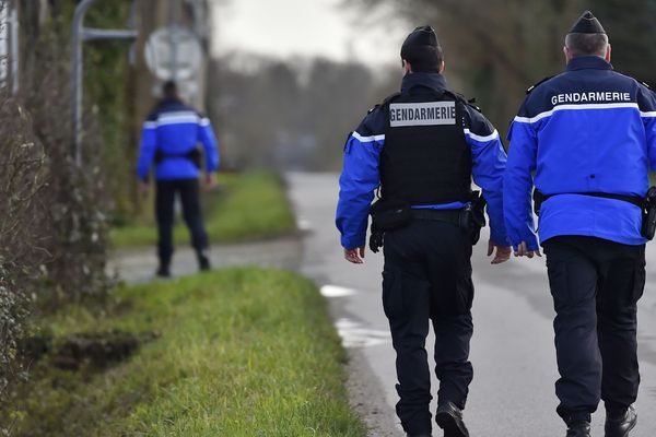 Le Cantal est l'un des départements les plus sûrs de France, les faits de délinquance sont plutôt faibles. Néanmoins les infractions routières sont en hausse en 2017.