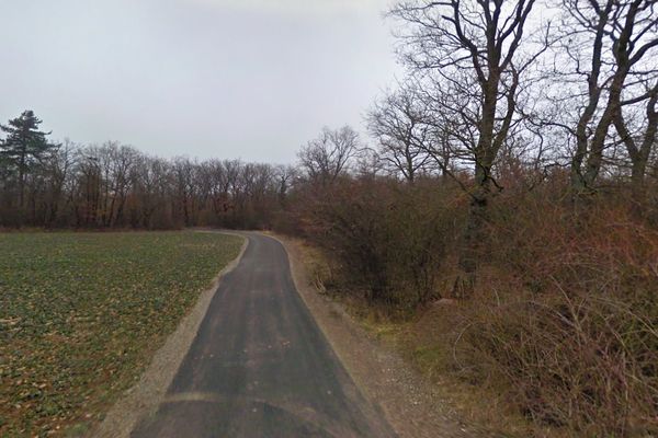 Un sentier cheminant vers la forêt de Nonnenbruch, depuis Richwiller.