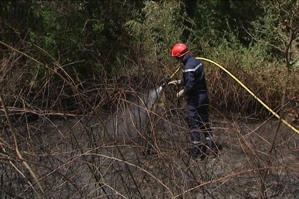 Incendie dans la forêt de Lutterbach