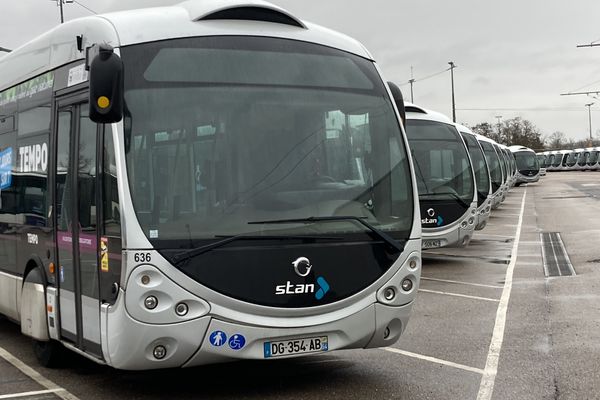 Les 38 bus à haut niveau de services font l'objet de contrôles.