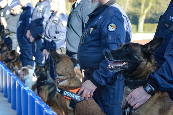 La haie d'honneur des chiens et leurs maîtres ce vendredi 7 févirer